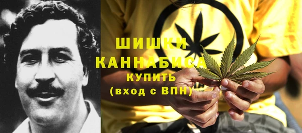 крисы Арсеньев
