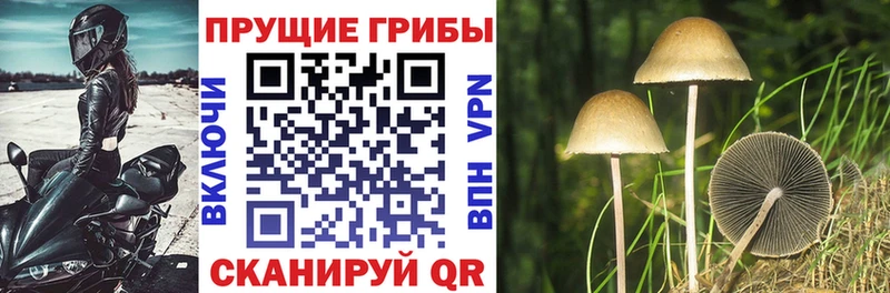 Псилоцибиновые грибы MAGIC MUSHROOMS  kraken ссылки  Зарайск 